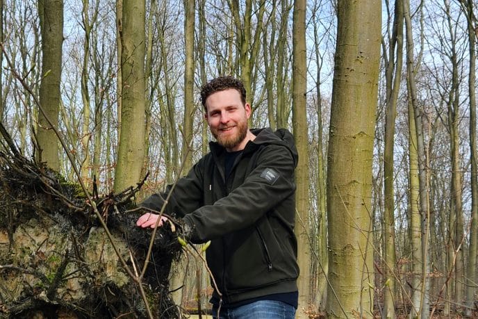 Leon met omgevallen boom in bos
